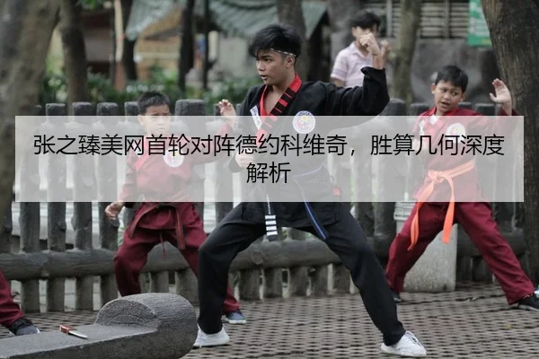 张之臻美网首轮对阵德约科维奇，胜算几何深度解析